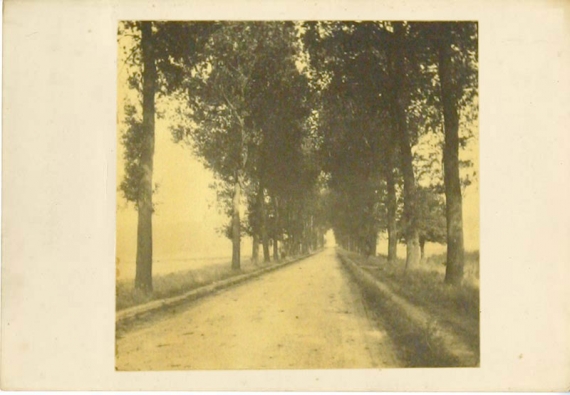 Agrandir l'image Max GEHLSEN, Chaussée Noyon-Roye, 1914-1915, tirage photographique monochrome noir et blanc, 5,5 x 5,5 cm